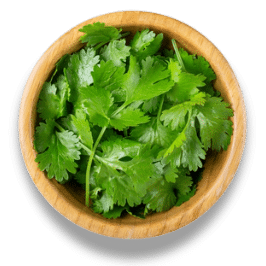 Choose Your Toppings Silantro